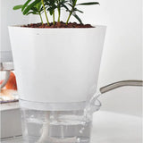 AquaPlanter - Slimme Bloempot en Mini Aquarium in één