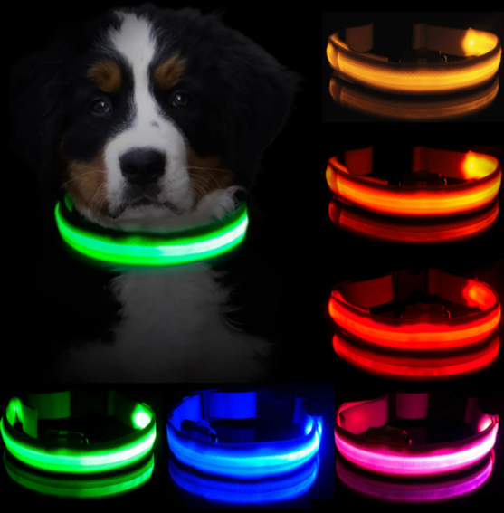 HondVeilig Pro - LED-halsband voor honden - Voel je veilig en stijlvol tijdens het uitlaten