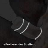 Anti-Trek Hondenharnas met Multifunctionele Leash - AquaCool