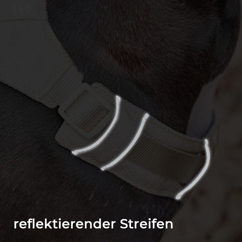 Anti-Trek Hondenharnas met Multifunctionele Leash - AquaCool