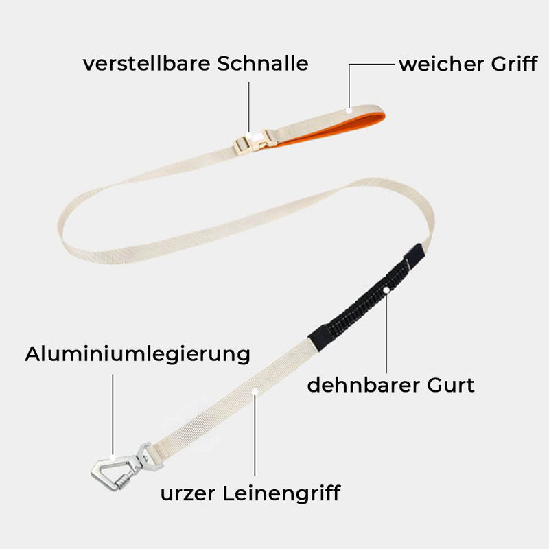 Anti-Trek Hondenharnas met Multifunctionele Leash - AquaCool
