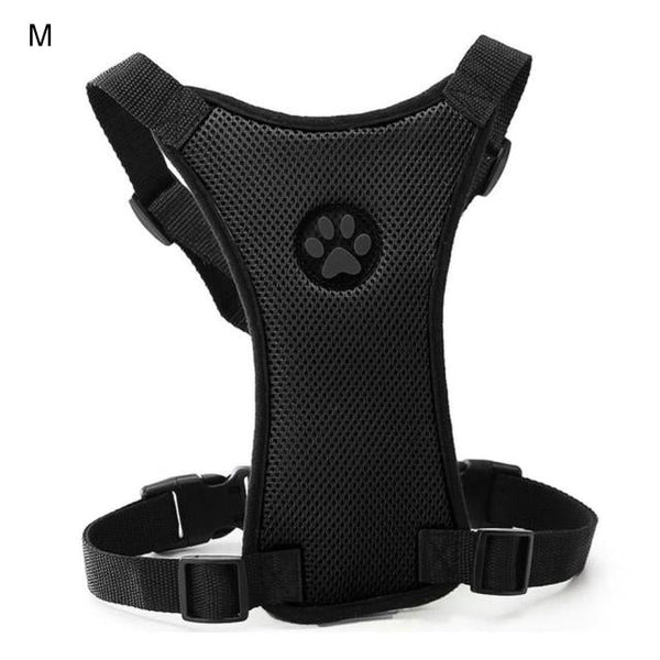 Autogordel met comfortabel harnas voor honden - PawSafe