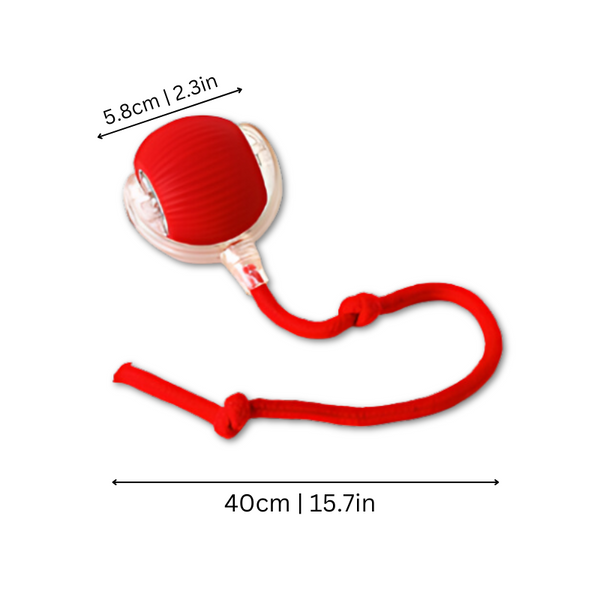 Kattenspeelbal - Actieve Speelervaring voor Jouw Kat