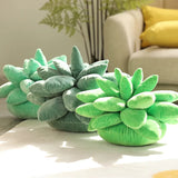 Succulent Dream | Knus met de pluchen perfectie van de natuur!