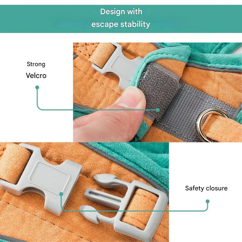 Verstelbaar kattenharnas met lijn – WhiskerWander