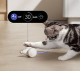 Het Ultieme Kauwspeelgoed voor Katten – WhiskerPlay