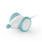 Het Ultieme Kauwspeelgoed voor Katten – WhiskerPlay