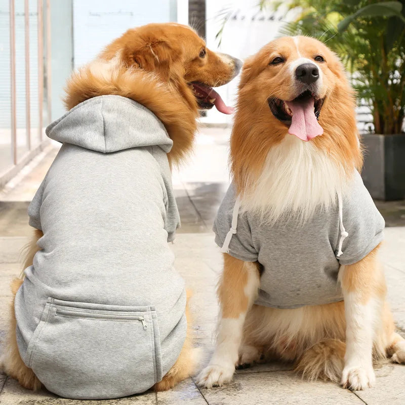 Bobby Hondenhoodie – Voor een trendy look