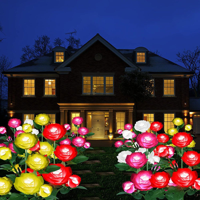 Roses | Creëer een prachtige sfeer in uw tuin!