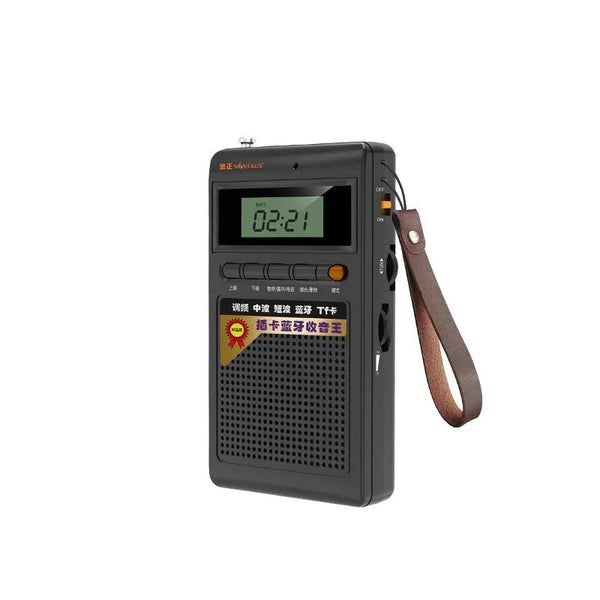 Draagbare Bluetooth-radio en MP3-speler - SoundPocket Mini