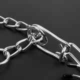 Hond Pincher Halsband - Stijl B