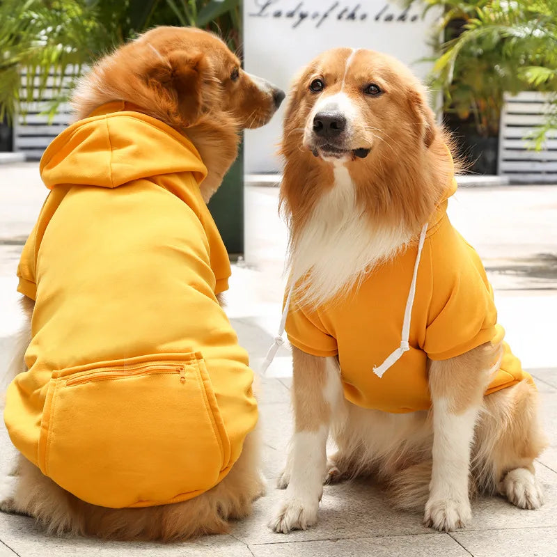 Bobby Hondenhoodie – Voor een trendy look