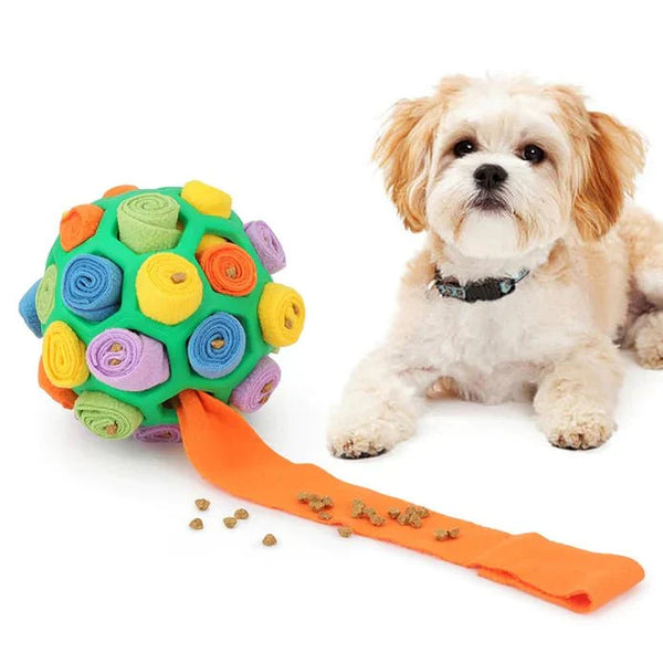 WhiffWiz | Maak van de speeltijd van je hond een snuffelavontuur!