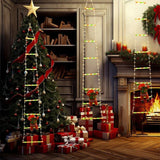 HOHOCLIMB – Geanimeerde kerstman die een ladder opklimt, LED-kerstdecoratie