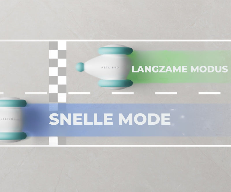 Het Ultieme Kauwspeelgoed voor Katten – WhiskerPlay