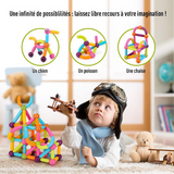 Magnet Construction™ / Magnetisch Blokset