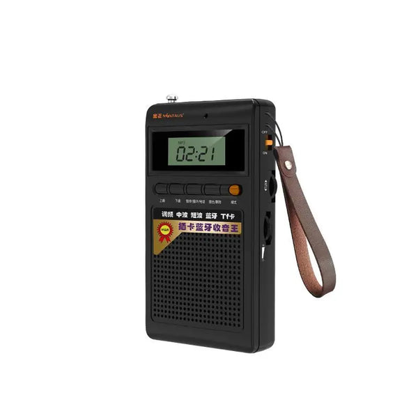 Draagbare Bluetooth-radio en MP3-speler - SoundPocket Mini