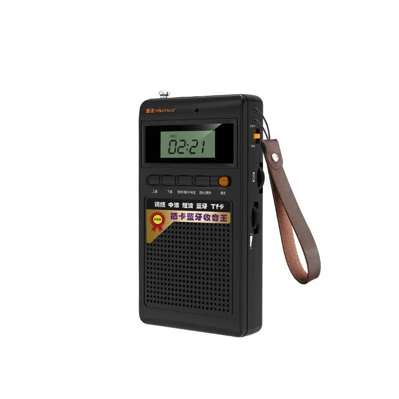 Draagbare Bluetooth-radio en MP3-speler - SoundPocket Mini