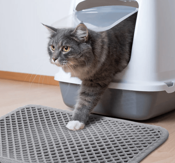 PetPurity Honingraat Kattenbakmat