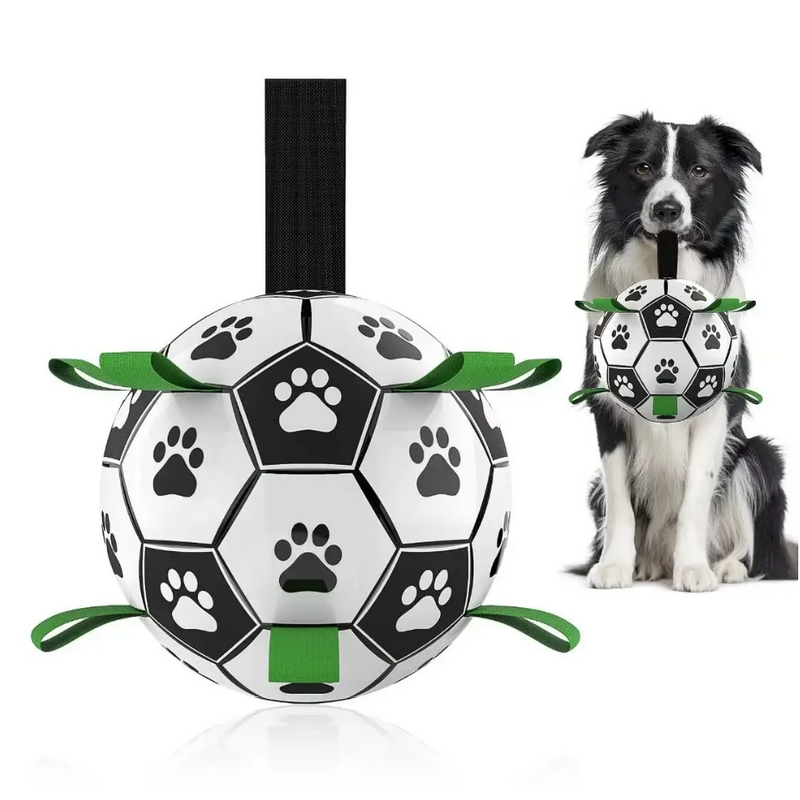 Duurzame hondensportbal met handvatten – TugBounce
