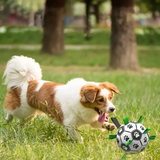 Duurzame hondensportbal met handvatten – TugBounce