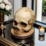 BladeSkull - Unieke Schedel Houder voor Keukenmessen