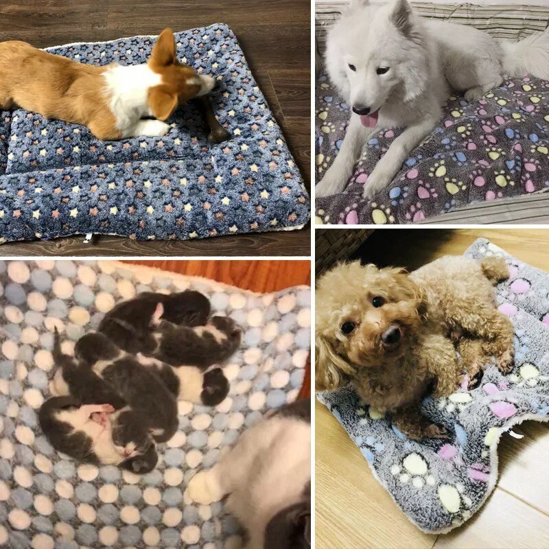 CozyPaws | Het schild van je huisdier tegen de winterkou!