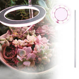 Angel Ring LED Groei Lamp - USB Volledig Spectrum Lamp voor Binnenplanten & Zaailingen