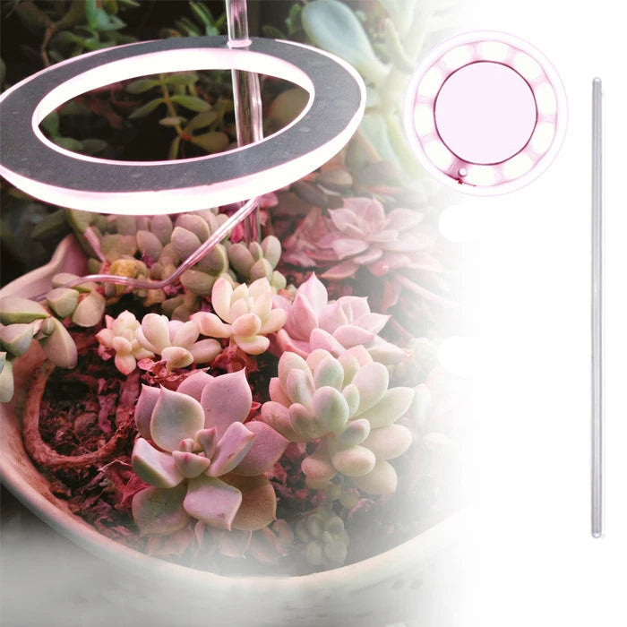 Angel Ring LED Groei Lamp - USB Volledig Spectrum Lamp voor Binnenplanten & Zaailingen