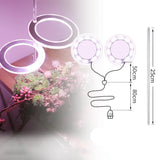 Angel Ring LED Groei Lamp - USB Volledig Spectrum Lamp voor Binnenplanten & Zaailingen