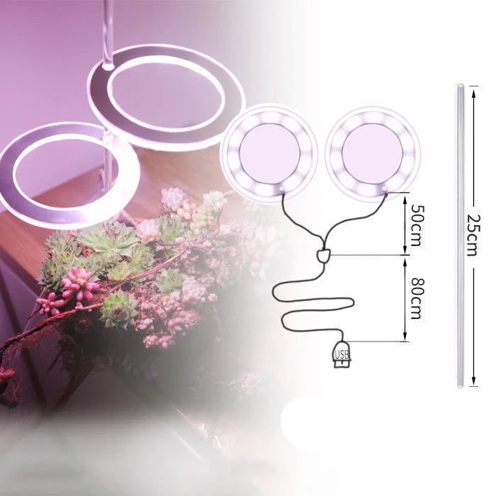 Angel Ring LED Groei Lamp - USB Volledig Spectrum Lamp voor Binnenplanten & Zaailingen