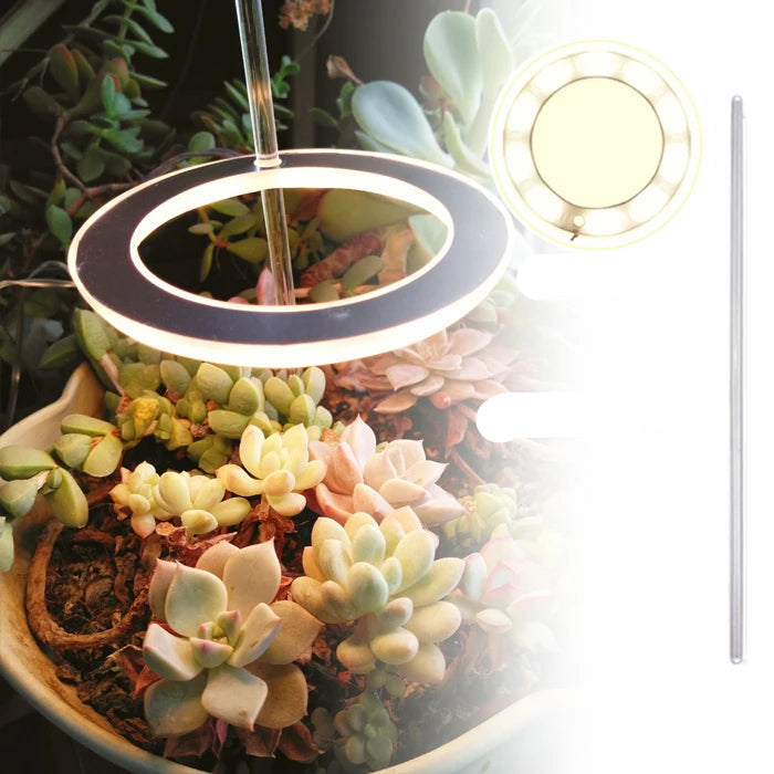 Angel Ring LED Groei Lamp - USB Volledig Spectrum Lamp voor Binnenplanten & Zaailingen