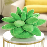 Succulent Dream | Knus met de pluchen perfectie van de natuur!