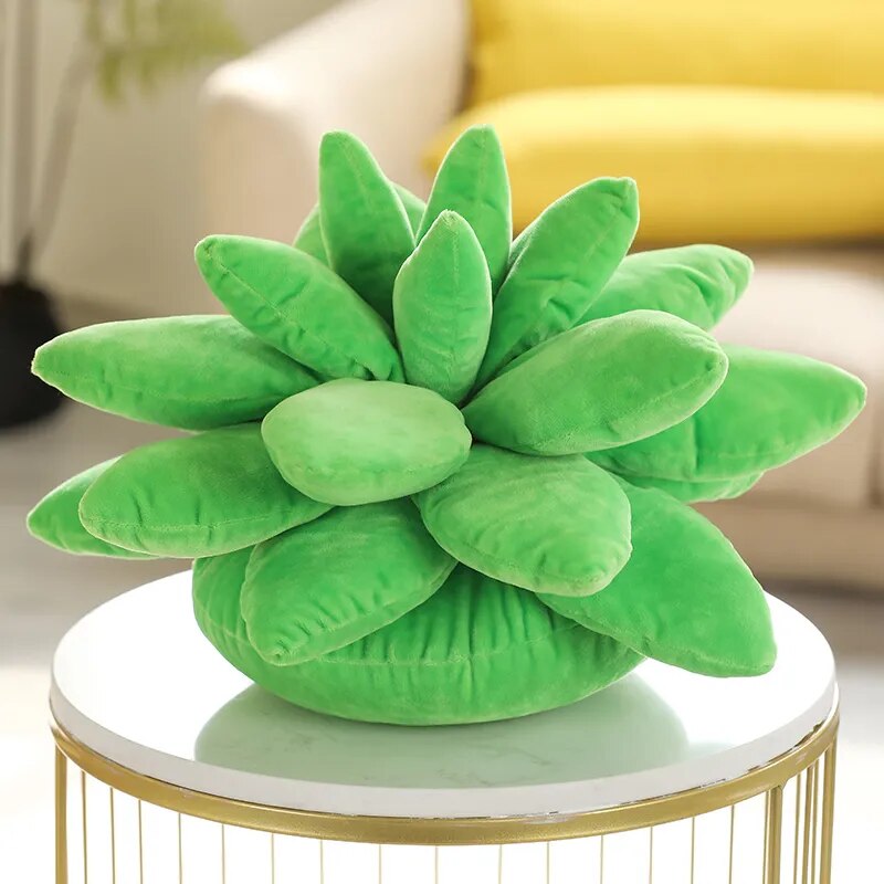 Succulent Dream | Knus met de pluchen perfectie van de natuur!