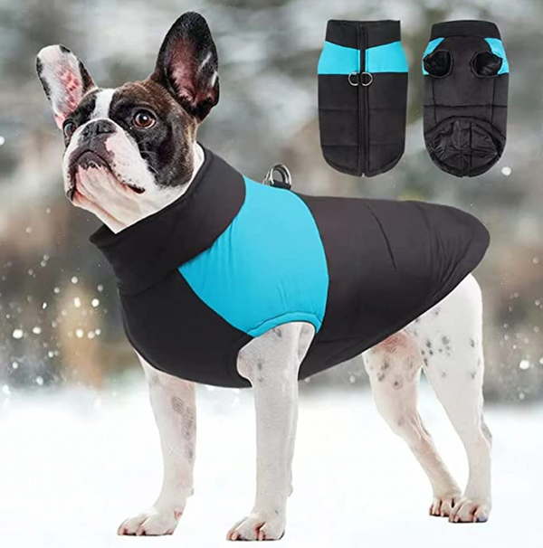 CozyPaws Hondenjas - Warm & Waterdicht