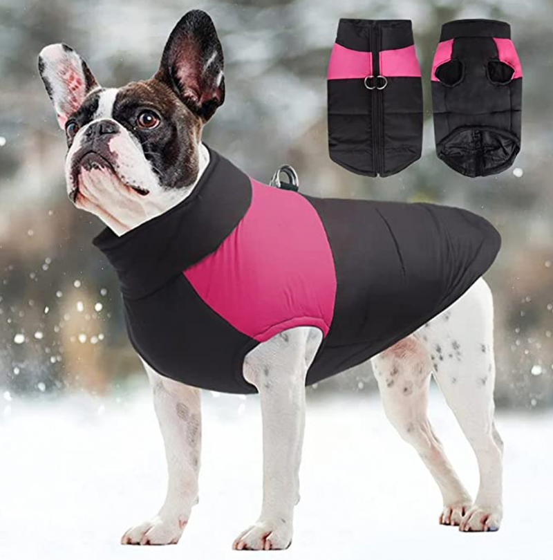 CozyPaws Hondenjas - Warm & Waterdicht