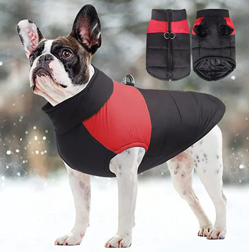 CozyPaws Hondenjas - Warm & Waterdicht