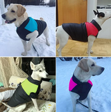 CozyPaws Hondenjas - Warm & Waterdicht