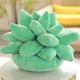 Succulent Dream | Knus met de pluchen perfectie van de natuur!