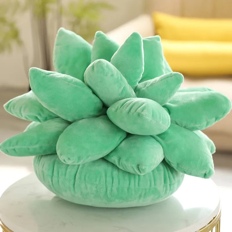 Succulent Dream | Knus met de pluchen perfectie van de natuur!