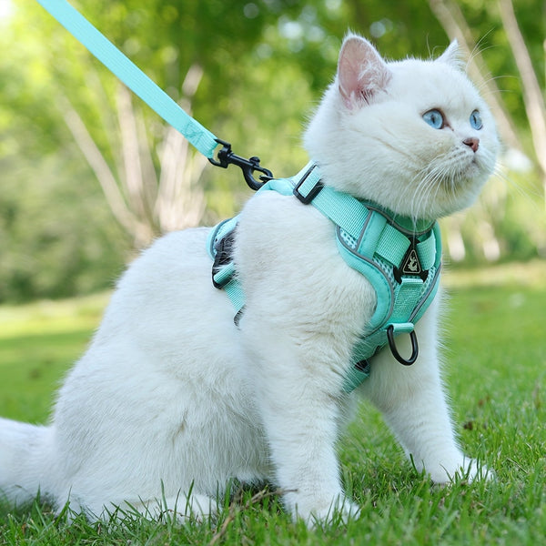 Reflecterend Kattenharnas en Riemset – Ideaal voor Wandelen en Training