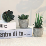 Decoratieve Mini Kunstplantenset in Betonlook – Stijlvolle Groene Touch voor Elk Interieur