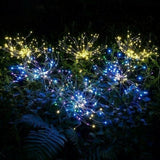 Firework | Geef uw tuin een betoverende uitstraling!