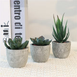 Decoratieve Mini Kunstplantenset in Betonlook – Stijlvolle Groene Touch voor Elk Interieur