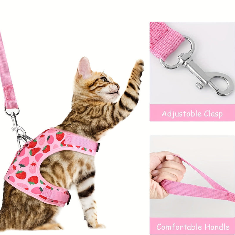 KittyComfort Harnas Set - Voor Gezellige Wandelingen en Avontuur