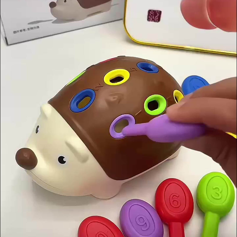 Schattige Egel Educatief Speelgoed - Leer en Speel