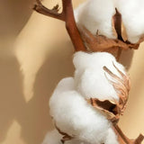 Luxe Satijnen Dekbedovertrek 4-delig Set - OpulenceSleep