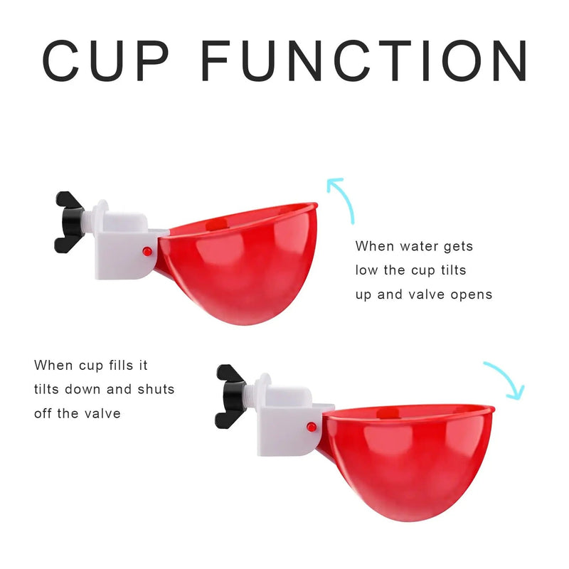 Set van 10 Kip Drinkbakjes – Praktisch en Efficiënt