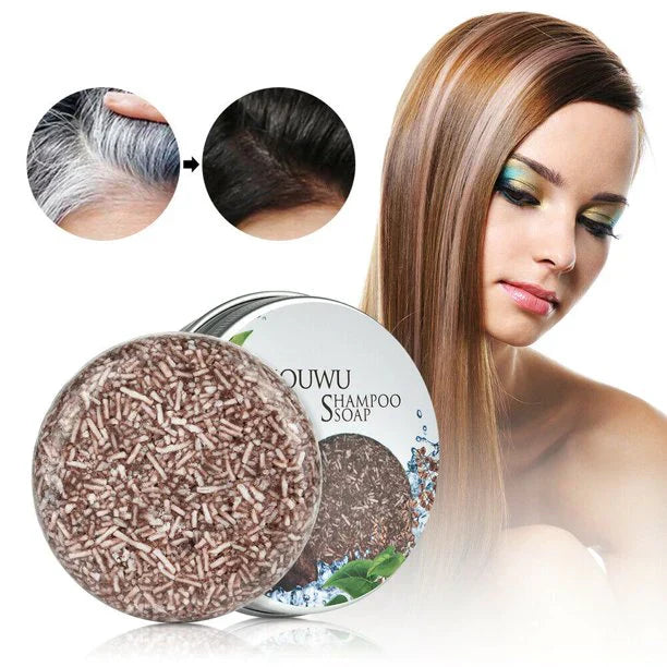 Biologische Haarverduistering Shampoo