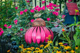 Bloemvormig Vogelhuis - FloraFeeder